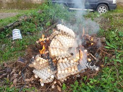 Telur Infertil di Tasikmalaya Berasal dari Lampung