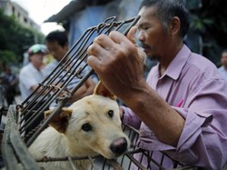 5 Fakta Festival Daging Anjing Yulin di China yang Dikecam
