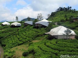 PHRI: Okupansi Hotel di Jabar Hanya 34 Persen