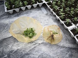 Kiat Menjalani Bisnis Ramah Lingkungan dari Ahli