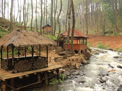 Kamu Sudah Kangen Campung Singkur?