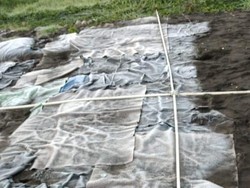 Dieng Kembali Membeku, Suhu Turun hingga Minus 2 Derajat Celsius