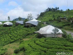 Mau Camping tapi lagi Musim Hujan? Pergi Glamping Saja Yuk..