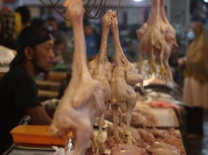Bank Indonesia: Harga Daging Ayam-Cabai Rawit Bikin Minggu Kedua Juni Deflasi