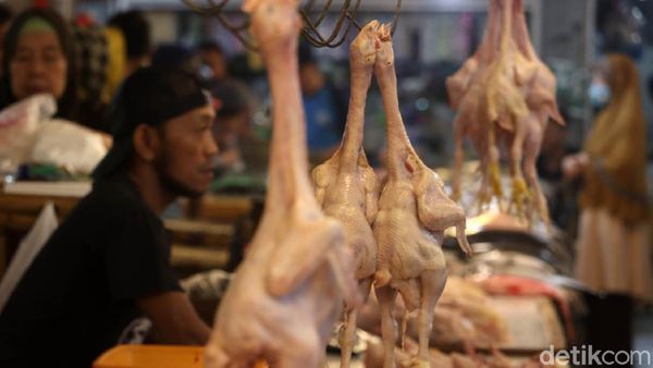 Harga Ayam Potong di Bandung Capai Rp 45 Ribu