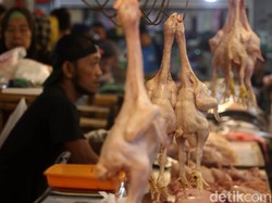 Gerutu Emak-emak Bandung soal Daging Ayam: Mahalnya Kebangetan!