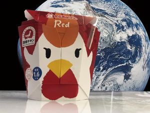 Keren! Ayam Goreng Mini Market di Jepang Jadi Bekal Makanan Astronot Keren! Ayam Goreng Mini Market di Jepang Jadi Bekal Makanan Astronot