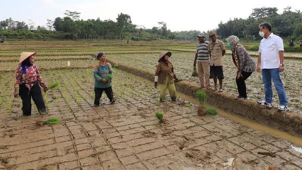 Gelontorkan Rp 1 Miliar Lebih untuk UMKM di Lampung