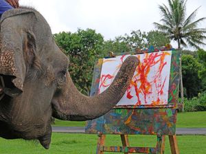 Seru Banget! Yuk, Intip Gajah Melukis di Candi Borobudur
