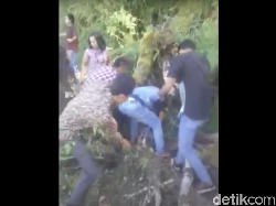 Video Dramatis! Bocah 6 Tahun Selamat Usai Tertimpa Pohon Tumbang