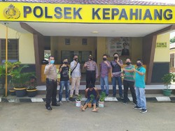 Tanam Ganja di Pekarangan Rumah, Pria Bengkulu Ditangkap Polisi