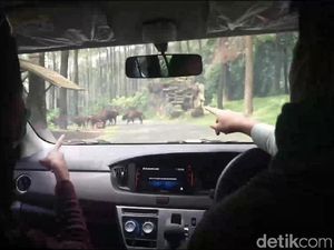 Taman Safari Prigen Siap Terima Pengunjung Era New Normal