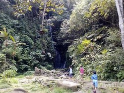 Ini Surga Tersembunyi di Tengah Kebon Raya Cibodas