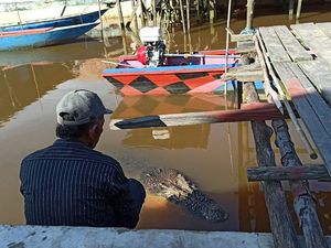 Rahasia Ambo Akrab dengan Buaya Jumbo yang Kerap Minta Makan di Kaltim Rahasia Ambo Akrab dengan Buaya Jumbo yang Kerap Minta Makan di Kaltim