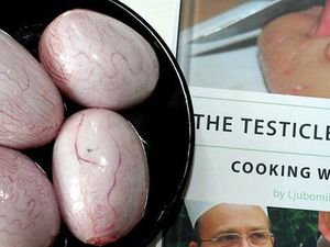 Bukan Hanya Anjing, Ada Festival Makan Daging Kucing dan Testis Banteng Bukan Hanya Anjing, Ada Festival Makan Daging Kucing dan Testis Banteng