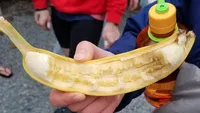 Duh! Cara Aneh Makan Pisang Sampai Donat Ini Bikin Jengkel