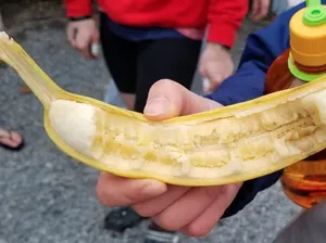 Duh! Cara Aneh Makan Pisang Sampai Donat Ini Bikin Jengkel