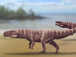 Jejak Buaya Purba Berusia 110 Juta Tahun Ditemukan di Korea Selatan