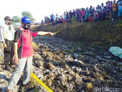 Seorang Pria Ditemukan Tewas di Sawah dengan Usus Terburai