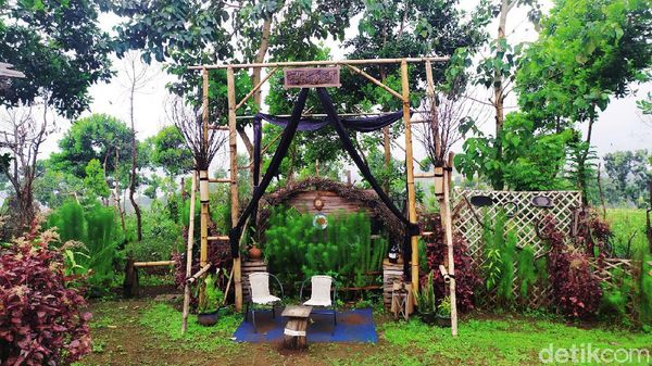 Ini Lho Spot Foto Unik dan Instagramable di Jalur Puncak II Cianjur