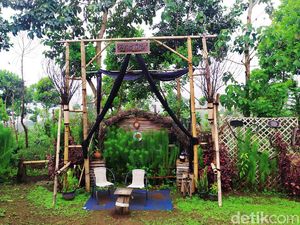 Ini Lho Spot Foto Unik dan Instagramable di Jalur Puncak II Cianjur