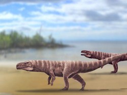 Ilmuwan Temukan Buaya Kuno yang Berjalan dengan Dua Kaki