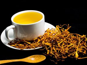 Jamur Tumbuh di Darah Pria Ini Usai Ia Suntikkan Teh Jamur ke Tubuhnya