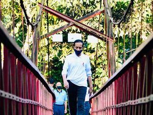 Yuni Shara hingga Cinta Laura Ucapkan Ulang Tahun untuk Jokowi