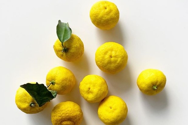 Buah yuzu/ sumber: Instagram.com/heavenlysoapcompany vitamin C dalam buah yuzu berperan untuk produksi kolagen yang dapat membuat kulit bercahaya.