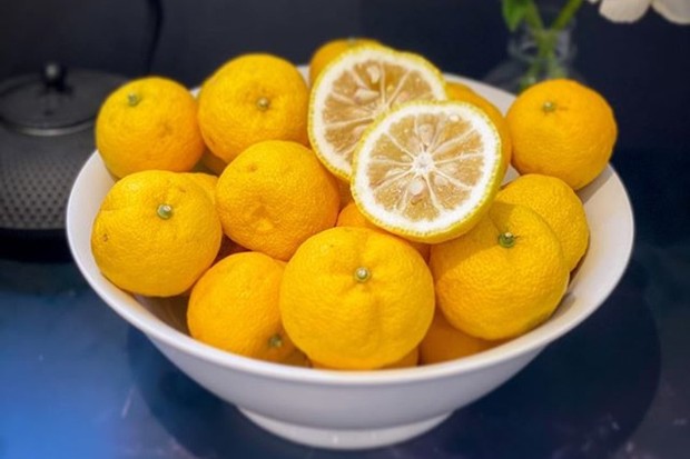 Buah yuzu/ sumber: Instagram.com/katysfoodfinds Yuzu membantu memerangi penumpukan protein jahat di otak dan mengandung antioksidan yang dapat melindungi otak dari kerusakan akibat radikal bebas.