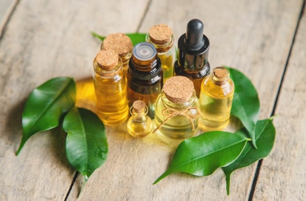 Tea tree oil/ sumber: Freepik.com tea tree oil memiliki sifat antiseptik alami yang dapat atasi kuku kuning akibat infeksi bakteri atau jamur