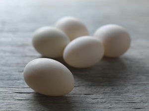 Nutrisi dan Keunggulan Telur Bebek, Nggak Kalah dari Telur Ayam! Nutrisi dan Keunggulan Telur Bebek, Nggak Kalah dari Telur Ayam!