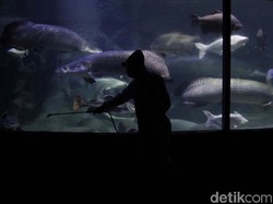 Total Tembus 39 Ribu Kasus, 11 Wilayah RI Nihil Kasus Corona Baru Per 15 Juni