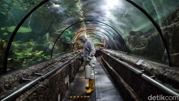 Siap-siap! Ancol Bakal Dibuka Akhir Pekan Ini Lho