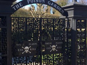 Masuk Taman ini, Traveler Bisa Mabuk, Pingsan Hingga Mati Masuk Taman ini, Traveler Bisa Mabuk, Pingsan Hingga Mati