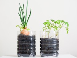 Begini Sikap Peduli Lingkungan dengan Prinsip 3R