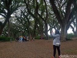 Pemkab Banyuwangi Klaim Tak Ada Penularan COVID-19 di Destinasi Wisata