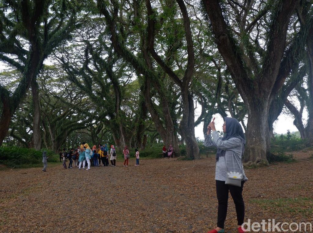 Pemkab Banyuwangi Klaim Tak Ada Penularan COVID-19 di Destinasi Wisata Pemkab Banyuwangi Klaim Tak Ada Penularan COVID-19 di Destinasi Wisata
