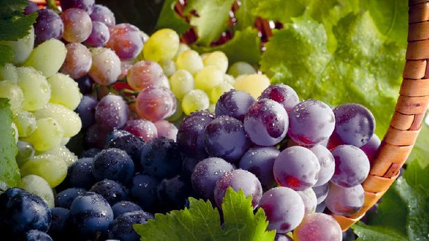 Fresh grapes and basket composition.
