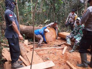 Taman Nasional Tesso Nilo Kritis! Jaksa Agung Bongkar Dugaan Korupsi Taman Nasional Tesso Nilo Kritis! Jaksa Agung Bongkar Dugaan Korupsi