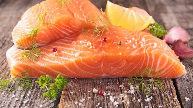 Fakta tentang ikan salmon