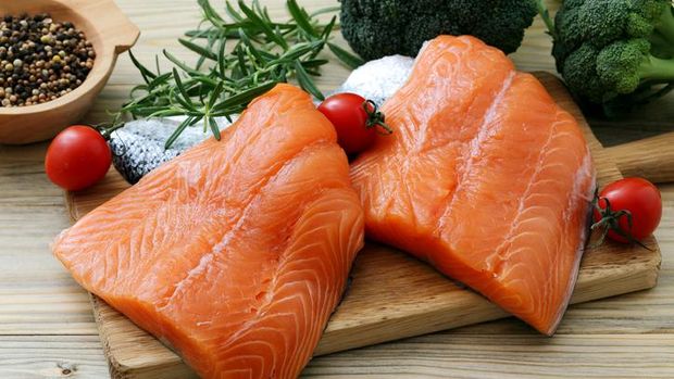 Fakta tentang ikan salmon