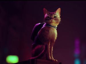 Stray, Game PS5 Soal Kucing Berkeliaran di Masyarakat Robot