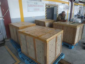 Hendak Dikirim Tanpa Izin ke Yogyakarta, Ribuan Burung Diamankan di Kualanamu