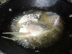 Begini Rasanya Ketika Ikan Arwana Seharga Rp 2 Juta Digoreng Ayah