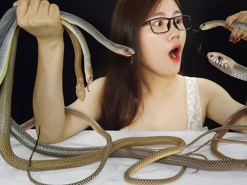 Ikan Penis Sampai Ular, 5 Video ASMR Ini Pakai Makanan Eksotik Ikan Penis Sampai Ular, 5 Video ASMR Ini Pakai Makanan Eksotik