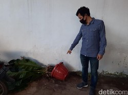 ASN Banyuwangi yang Ngamuk Rusak Kantor Dispendukcapil Jadi Tersangka