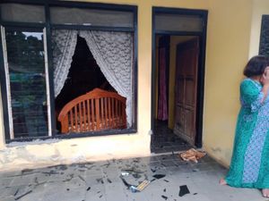 Ini Dugaan Pemicu Babi Hutan Serang Rumah Warga Pangandaran