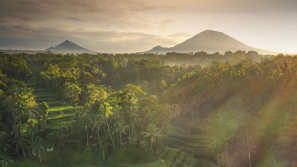 Karya Jawara Kontes #Areal2020 Bikin Mata Terkesima