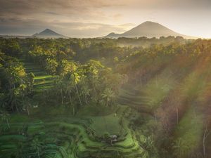 Karya Jawara Kontes #Areal2020 Bikin Mata Terkesima